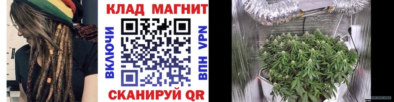 Купить закладку Бошки Шишки  Alpha PVP  COCAIN  ГАШ  Мефедрон  Новосибирск