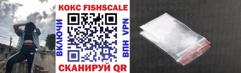 Купить где  Новосибирск  COCAIN Fish Scale 