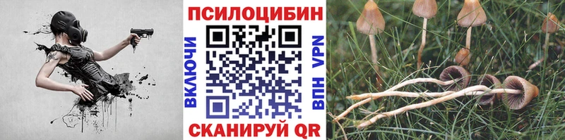 Купить закладки  Новосибирск  Галлюциногенные грибы Psilocybine cubensis 